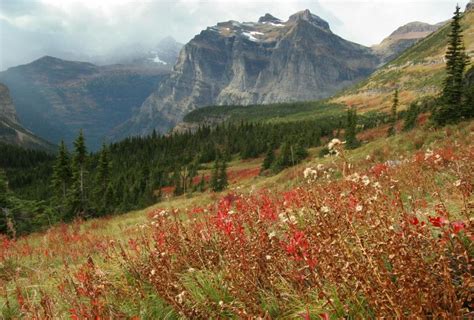 Autumn In Glacier National Park Mt Wildernesscapes Photography Llc