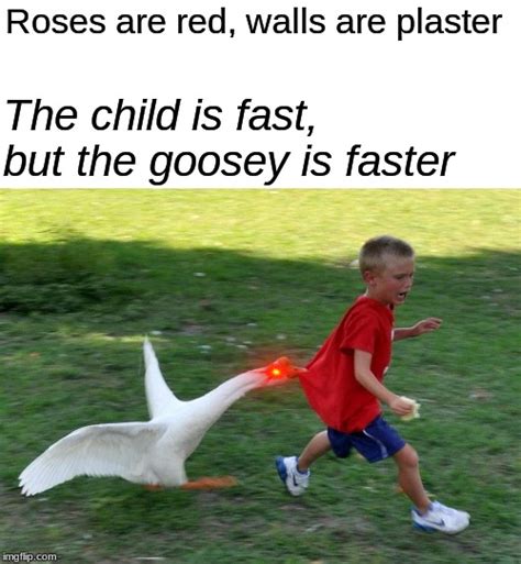 The Goose Is Coming For You Imgflip