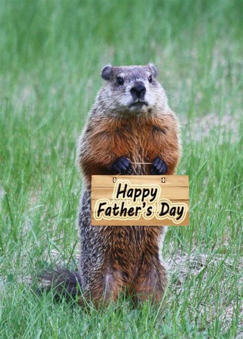 Fathers Day Card Happy Fathers Day Funny Groundhog Etsy Happy
