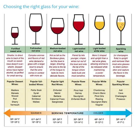 Types Of Wine Glasses Gilitplace