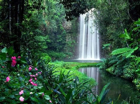 Download Water Green Flower Nature Waterfall Wallpaper