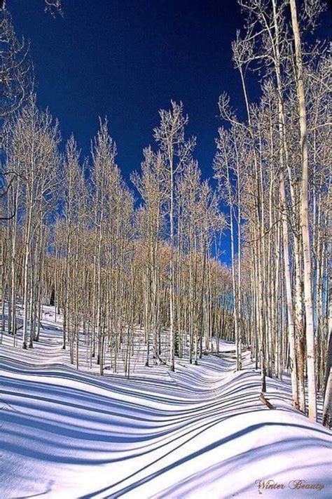 It is a simple story about building a snowman family after it snows and the different types of objects you can use to. Pin by Lori Creamer on Nature in Snowy Slumber | Winter ...