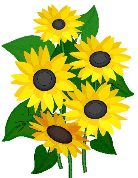 Download High Quality August Clipart Sunflower Transparent Png Images