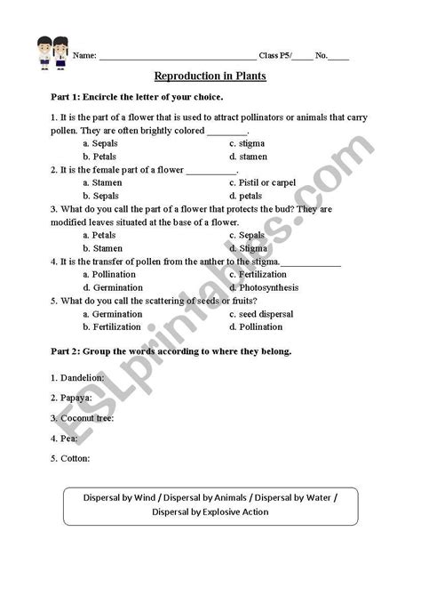 The Nature Of Science Worksheet Answers