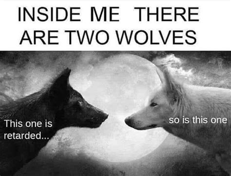 Explains All The Howling At The Moon Inside You There Are Two Wolves