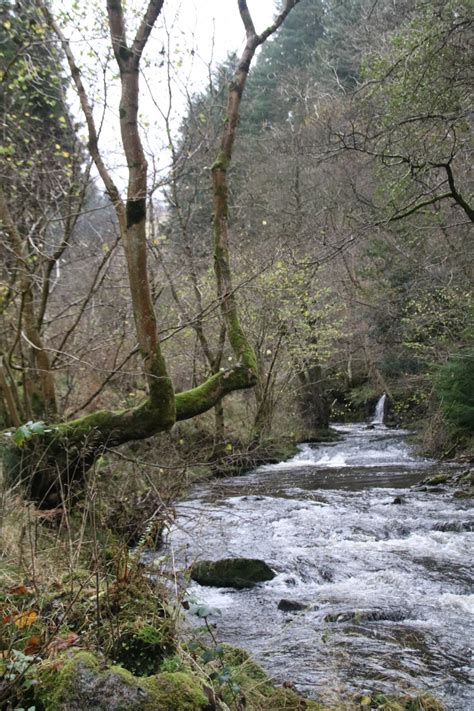 The Rivers Up Nant Y Bedd