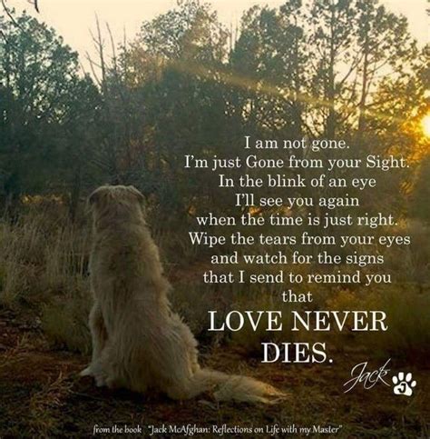 Pin By Betsy Ellenberger On Golden Retrievers Dogs Dying Quotes Dog