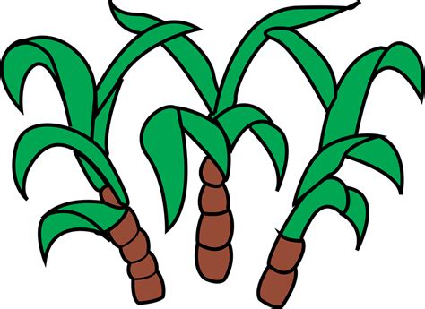 Free Clipart Of Sugarcane 20 Free Cliparts Download