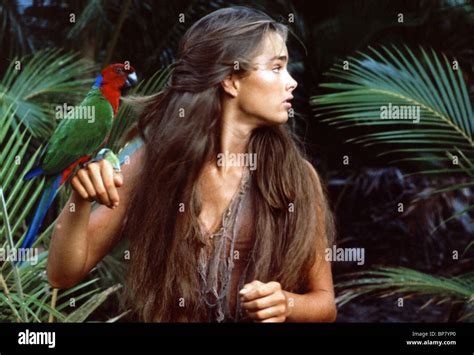 Blue Lagoon 1980 Stockfotos Und Bilder Kaufen Alamy