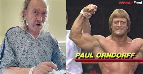 Legendary Wrestler Paul Orndorf Aka Mr Wonderful Dies At 71