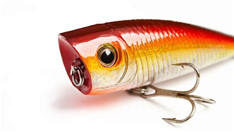 7 Essential Saltwater Fishing Lures That Catch Fish Anywhere