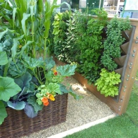Top Vegetable Plants For A Beginner Garden Vertical Vegetable Gardens