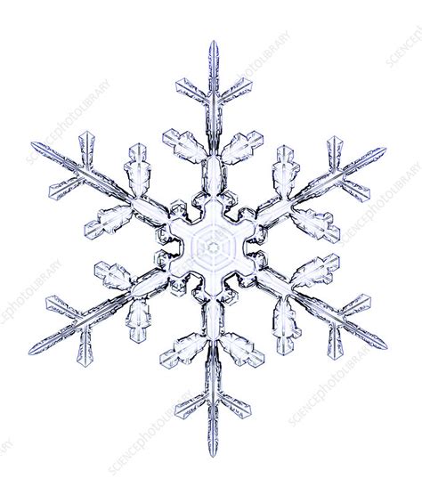 Snowflake Light Micrograph Stock Image C0255859 Science Photo