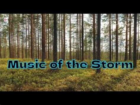 Daily Devotion Rejoiceandpraise Music Of The Storm Heb 12 11