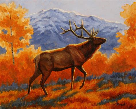 Elk Painting Autumn Glow Painting By Crista Forest Fine Art America