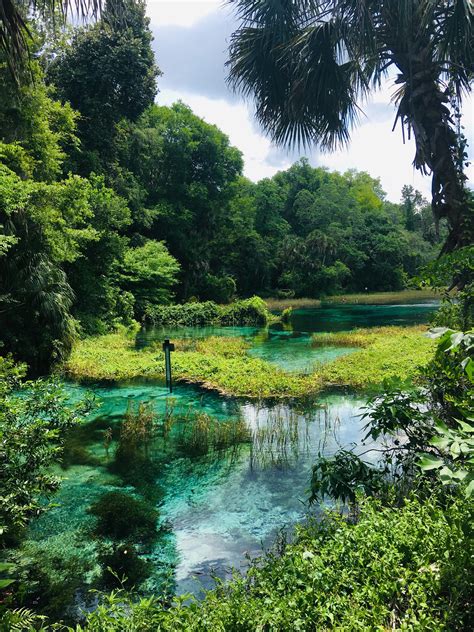 Rainbow Springs Is Absolutely Stunning Floridas Springs Have Been My