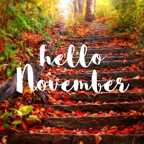 Goodbye October hello November! #jicbyjulie #goodbye #October #hello #November | Hello november ...