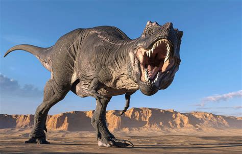 New Research Reveals That The T Rex Was Much Less Scary Than We Thought