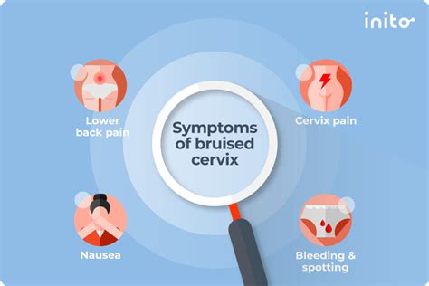 What To Know If You Think Youve Bruised Your Cervix Inito Kienitvcacke
