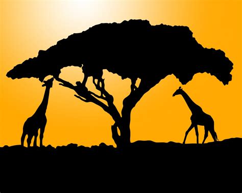 African Landscape Silhouette At Getdrawings Free Download