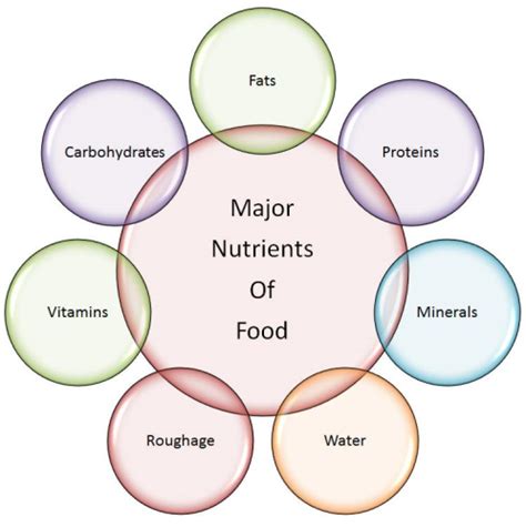 Key Concepts Components Of Food Class 6 Notes Edurev