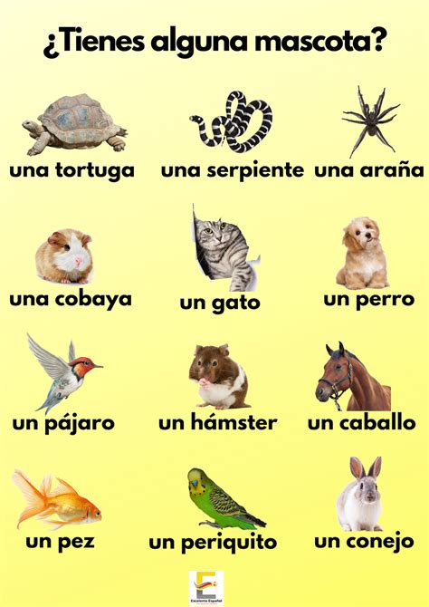 Pets In Spanish Poster If You Would Like To Download This And The