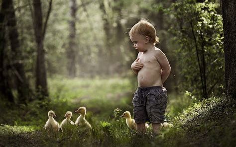 Cute Little Baby Boy With Chicks In Park Hd Images Hd