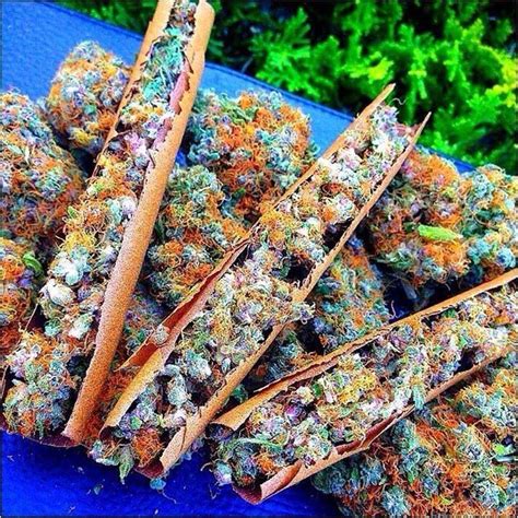 17 Best Images About Plantsherbs On Pinterest Weed Medical