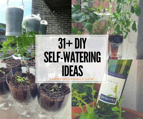 31 Clever Diy Self Watering Container Garden Ideas When Youre Away