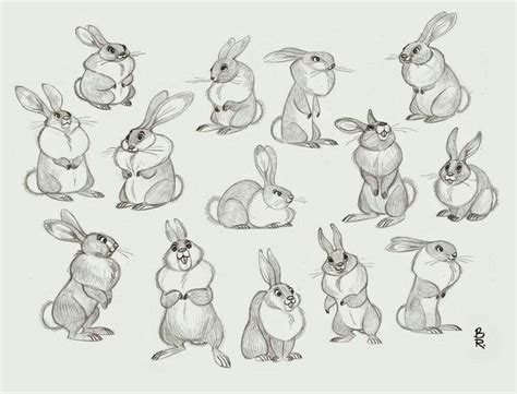 Pin by RolPrikol on Анимация cartoon Animal drawings Animal sketches Illustration