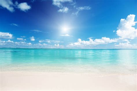 Download Free Sandy Beach Banner Background Images Sa