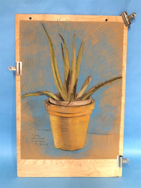 Myke Venable Aloe Vera Study Charcoal And Pastel On Paper X In Pastel Drawings
