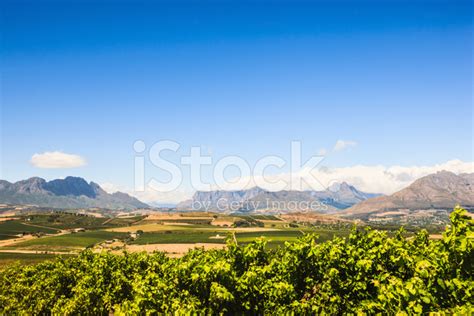 African Winelands Stellenbosch Cape Town Area Stock Photo Royalty