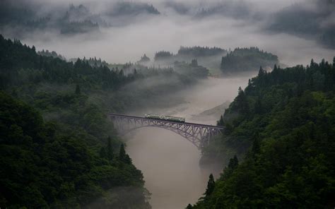 Landscape Nature Mist Morning Train Bridge Forest