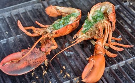 Bbq Grilled Crayfish Or Lobster Recipe Char Broil New Zealand