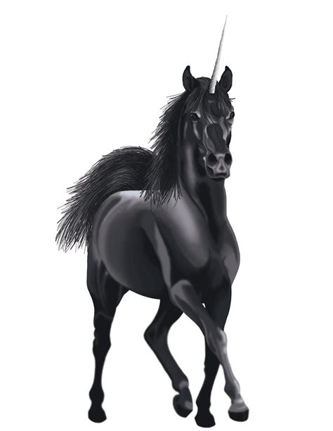 Arabian Unicorn Ver3 By Blufyrdragon4 On Deviantart