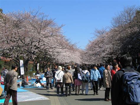 Ueno Park Walking Tour Tokyo Japan