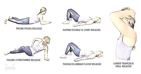 Tennis balls can produce therapeutic benefits. 11 Ways To Use A Tennis Ball to Fix Back Pain | PaleoHacks ...