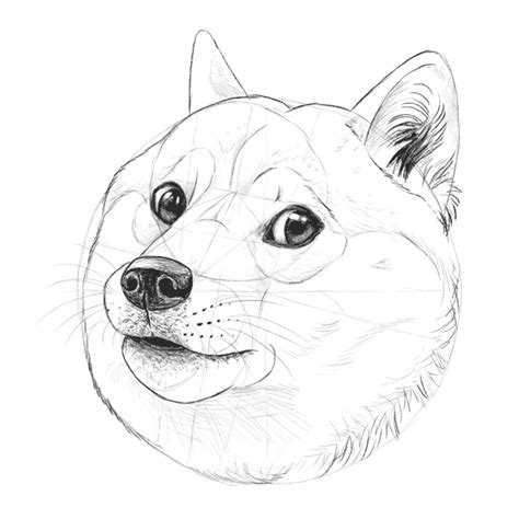 Use the guidelines if you need after you have shaded in the rest of the dog you are done with the first layer. Such Tutorial, Many Fun: How to Draw Doge!