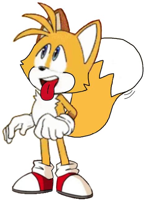 Tails The Cat Acting Like A Dog By Nhwood On Deviantart