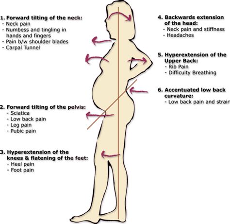 Body Changes During Pregnancy Flexed