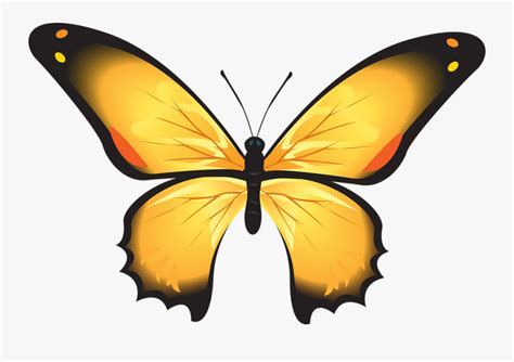 Dunia sketsa gambar sketsa kupu kupu. Kumpulan gambar untuk Belajar mewarnai: Sketsa Gambar Kupu ...