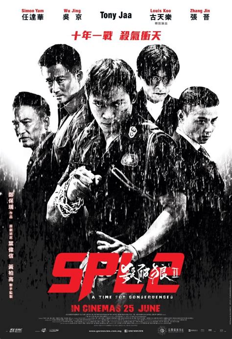 It is the third portion in the killzone arrangement. TONY JAA HITS THEATERS IN MAY WITH 'KILL ZONE 2' - Action ...