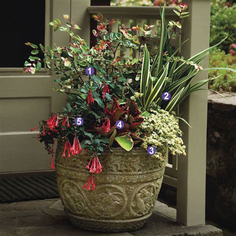 Designing Containers For Shade Finegardening In 2021 Container