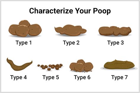 What Your Poop Says About Your Health Emedihealth