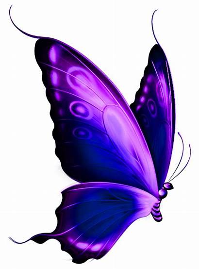 Butterfly Purple Clipart Transparent Clipartbest Cliparts Butterflies