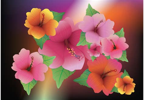 Exotic Flowers Download Free Vector Art Stock Graphics And Images