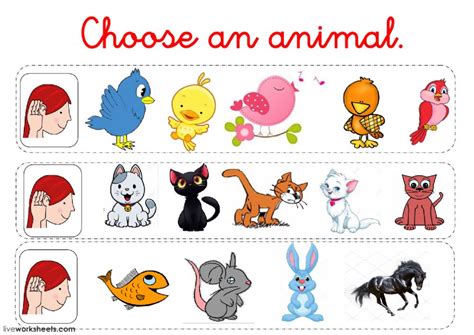 Choose An Animal Ficha Interactiva