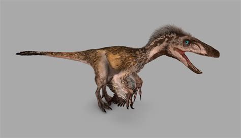 Utahraptor | Dinosaur Revolution Wiki | FANDOM powered by ... Be the first to review collecta gigantoraptor dinosaur toy figurine cancel reply.