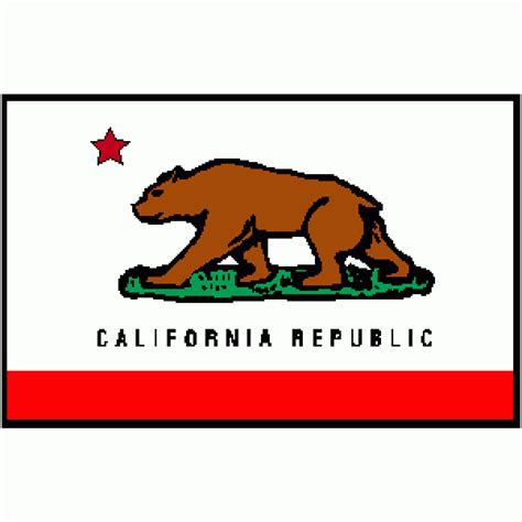 California Flag 4 X 6 Ft Large